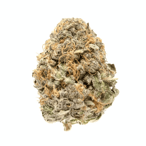 Assembly Flower - Grand Daddy Purple