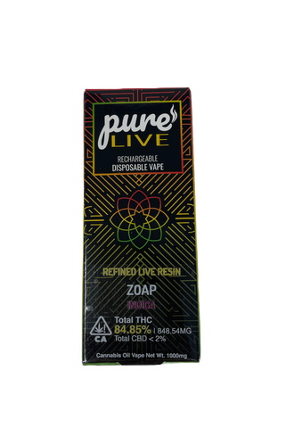 Pure Live Full Spectrum Refined Live Resin 1G Disposable Vape - Tropical Cookies