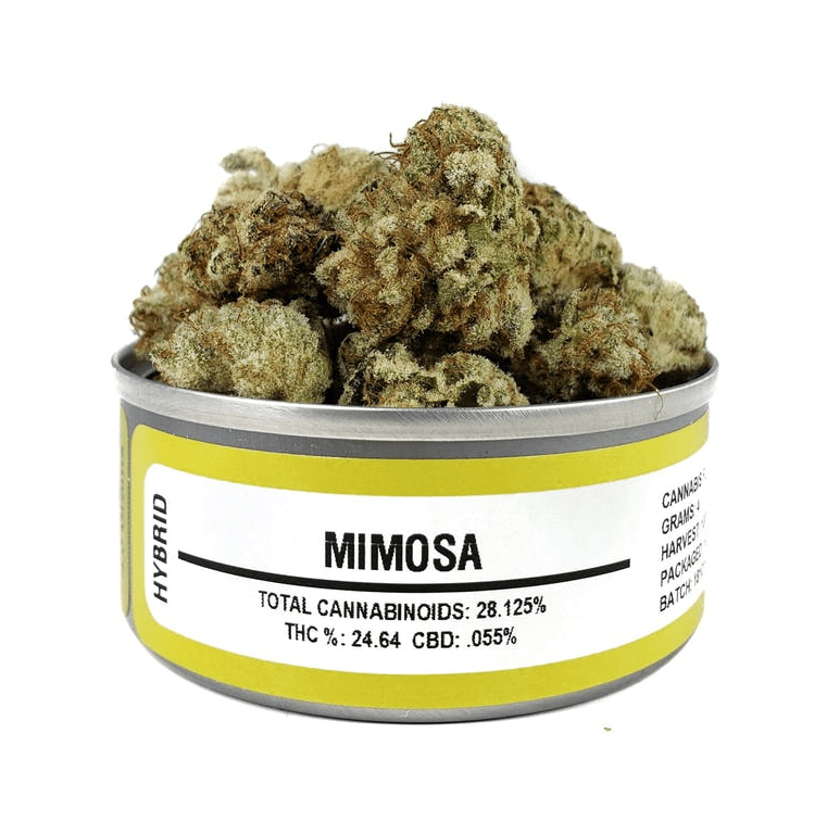 Space Monkey Meds Mimosa - The Balloon Room