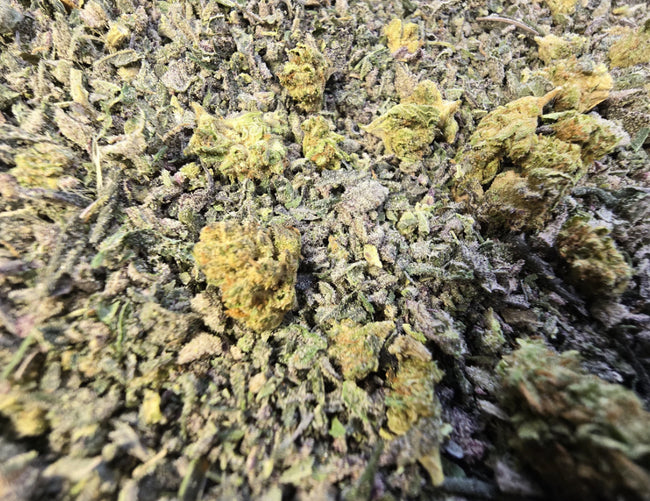 1 OZ OF EXOTIC SHAKE - $40