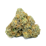 1 OZ EXOTIC SPECIALS - The Balloon Room
