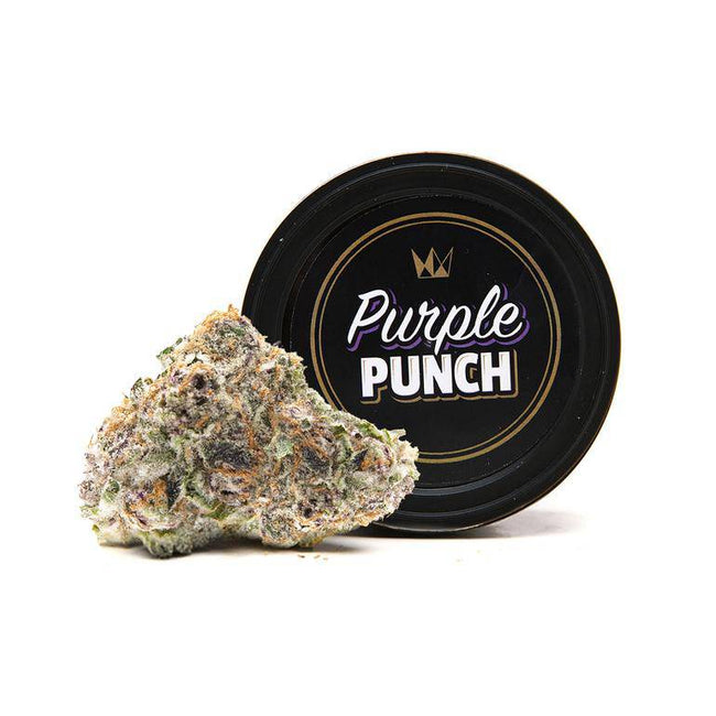 West Coast Cure Purple Punch - The Balloon Room