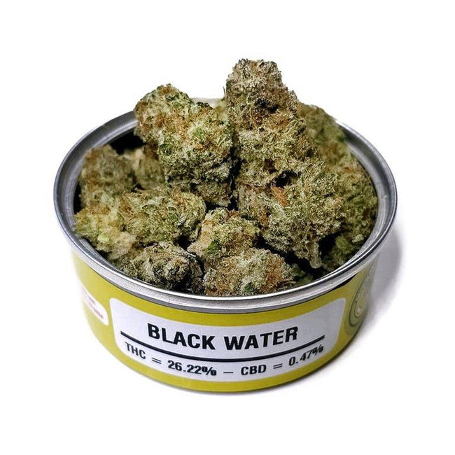 Space Monkey Meds Blackwater - The Balloon Room