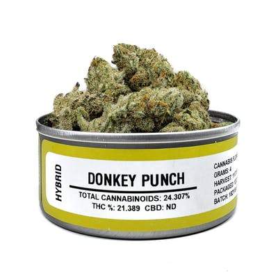 Space Monkey Meds Donkey Punch - The Balloon Room