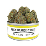 Space Monkey Meds Alien Orange Cookies - The Balloon Room