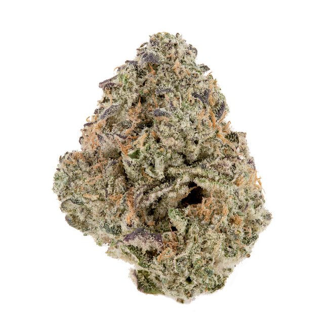 1 OZ EXOTIC SPECIALS - $250 - The Balloon Room