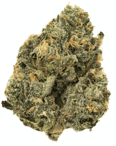 Assembly Flower - Girl Scout Cookies