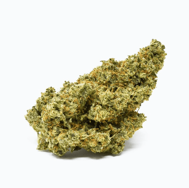 $125 OZ SPECIAL - Napoli Pink - The Balloon Room