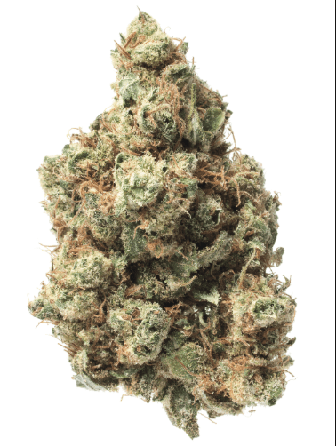 Special Deal: 10G of Premium Indoor Flower for $100 - The Balloon Room