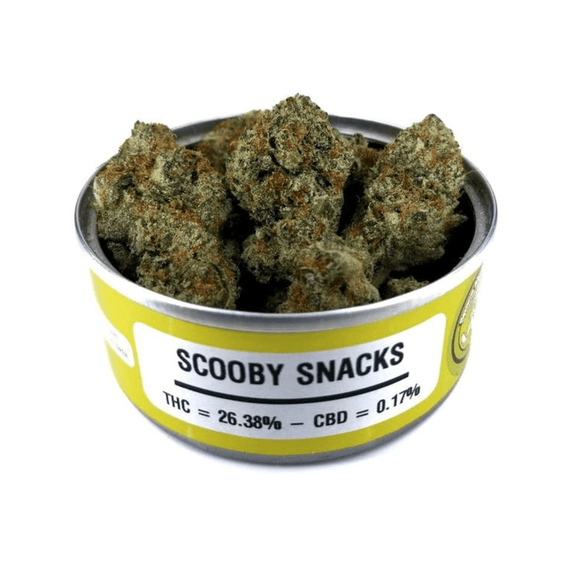 Space Monkey Meds Scooby Snacks - The Balloon Room