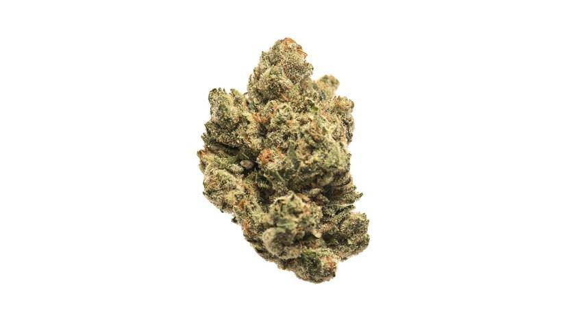 1 OZ EXOTIC SPECIALS - The Balloon Room